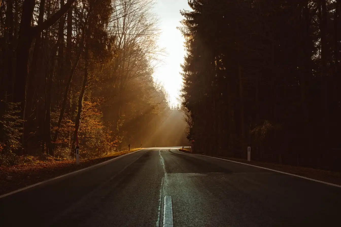 An empty two-lane road with painted center and edge markings, running through forest toward a low sun.